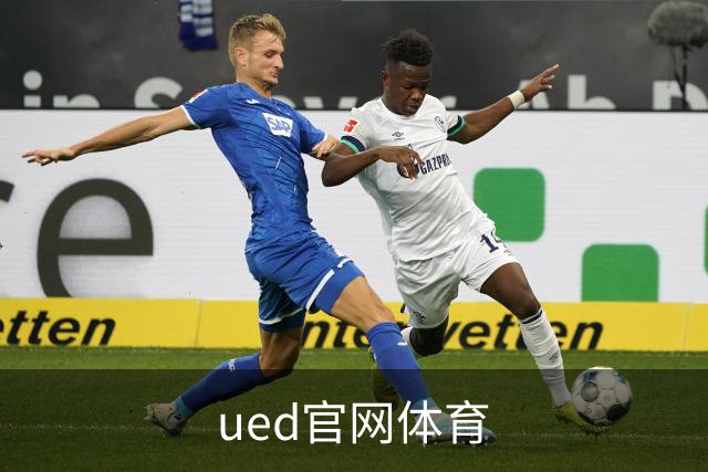 ued官网体育公司简介
